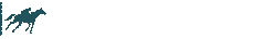 atyarışı.com